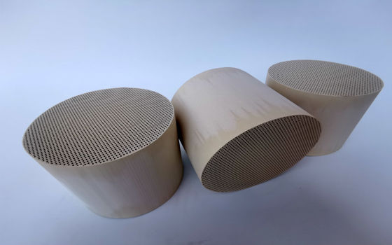 PM PN Gas Particulate Filter Regeneration